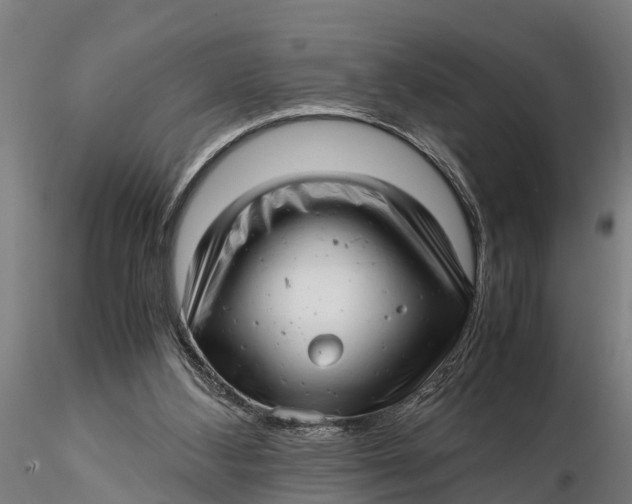 X0000115680108200912031428