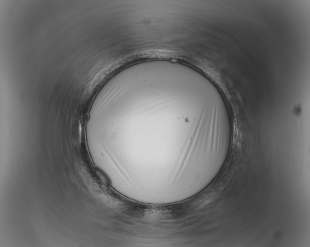 X0000115680109200912031428