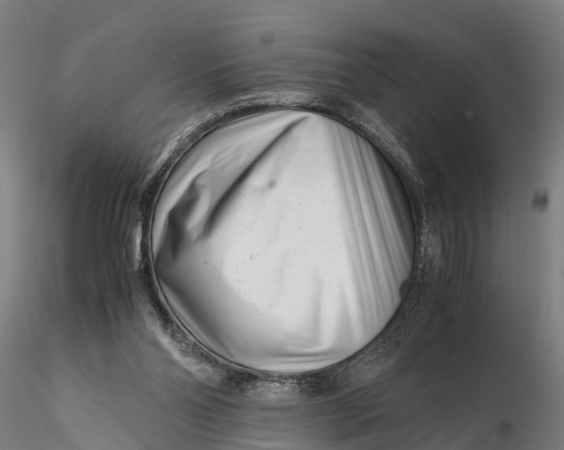 X0000115680110200912031428