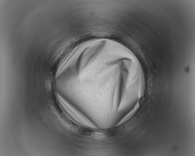 X0000115680114200912031428