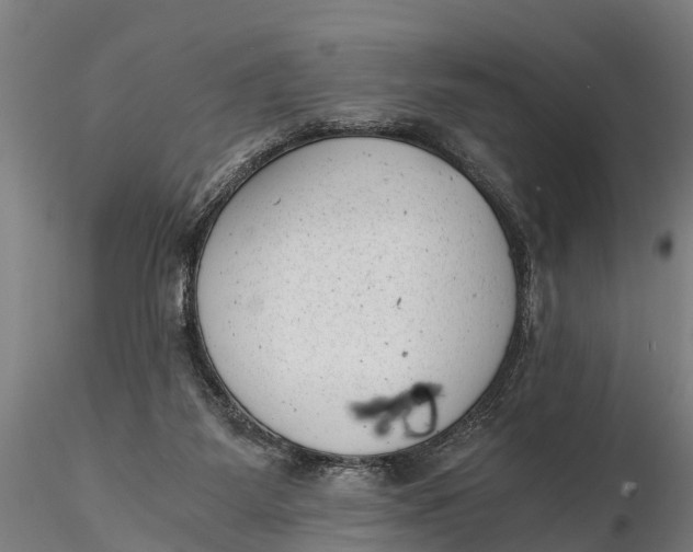 X0000115680115200912031428