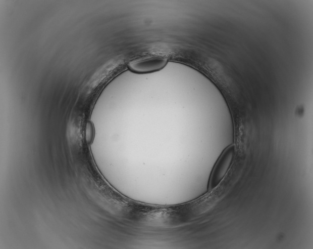 X0000115680116200912031428