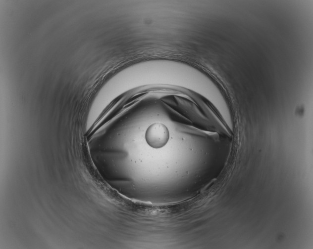 X0000115680117200912031428