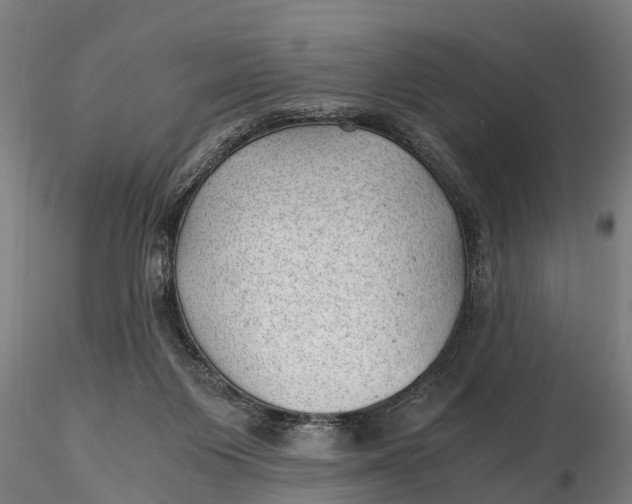 X0000115680119200912031428