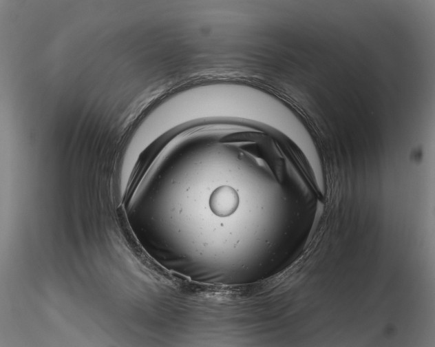 X0000115680120200912031428