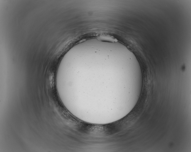 X0000115680123200912031428