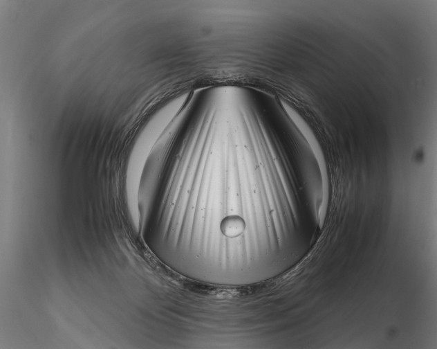 X0000115680124200912031428