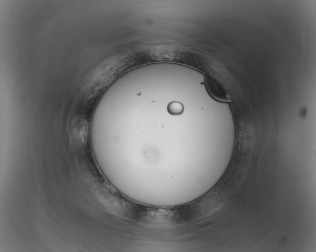 X0000115680125200912031428