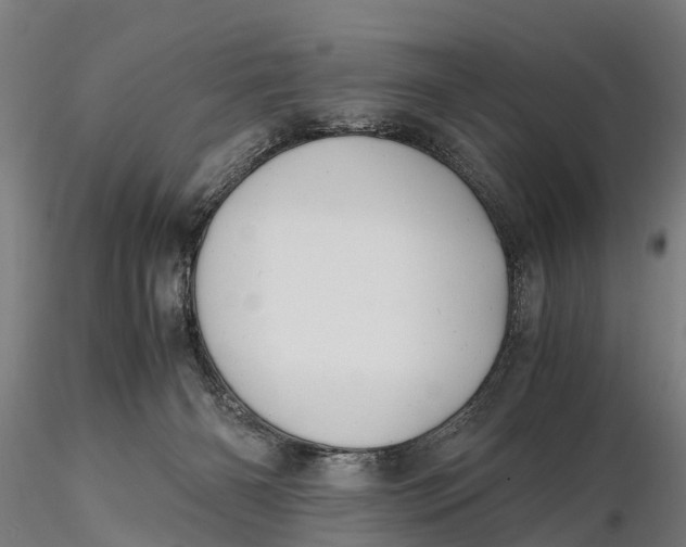 X0000115680126200912031428