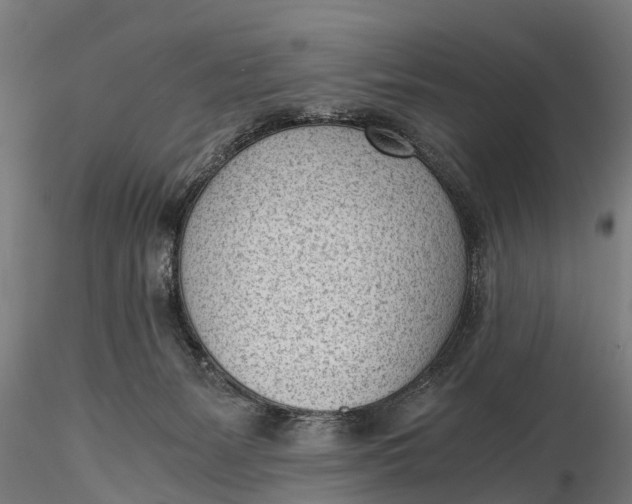 X0000115680127200912031428