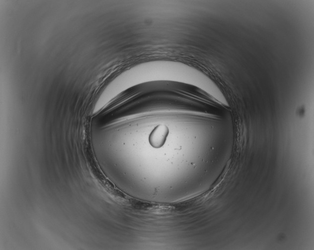 X0000115680128200912031428