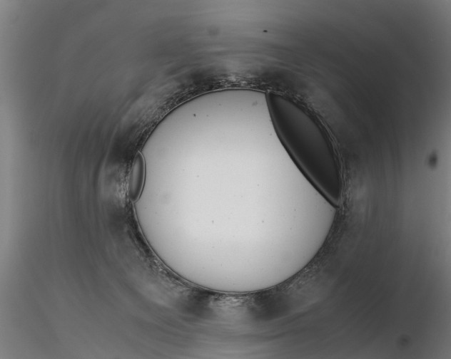 X0000115680129200912031428