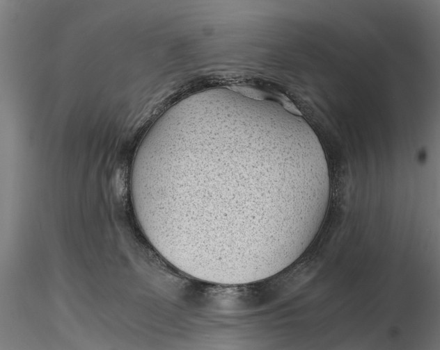 X0000115680131200912031428