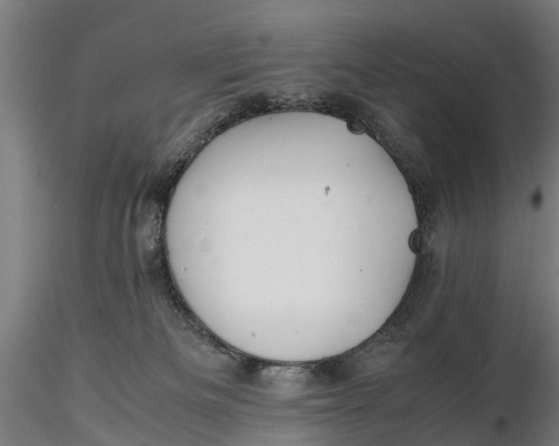 X0000115680133200912031428