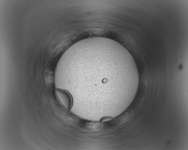 X0000115680135200912031428