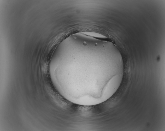 X0000115680139200912031428