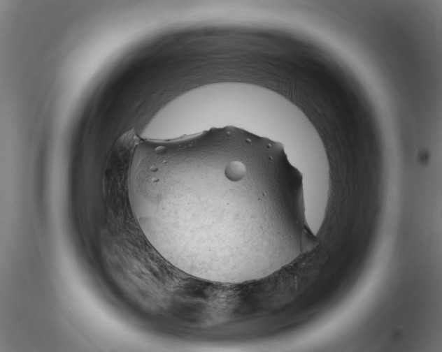 X0000115680143200912031428