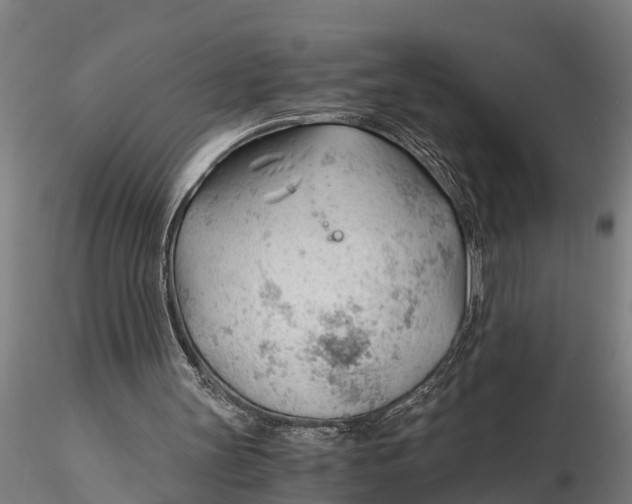 X0000115680147200912031427