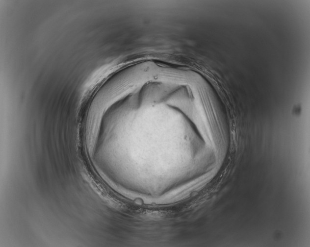 X0000115680149200912031427