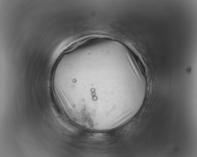 X0000115680151200912031427