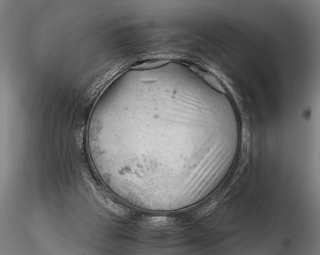 X0000115680153200912031427