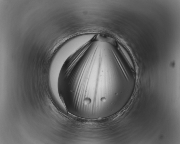 X0000115680154200912031427