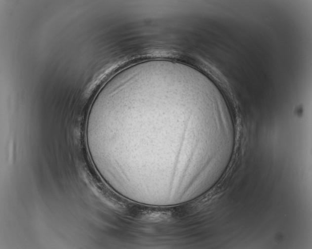 X0000115680155200912031427