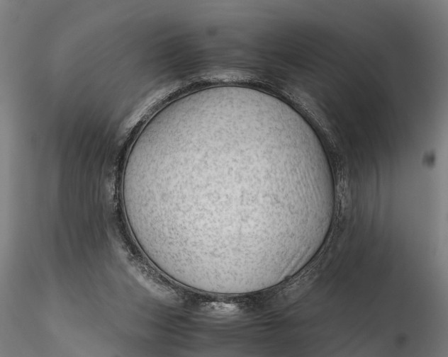 X0000115680159200912031427