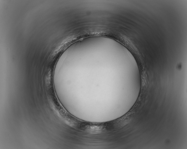 X0000115680163200912031427