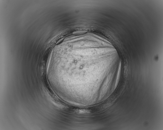 X0000115680165200912031427