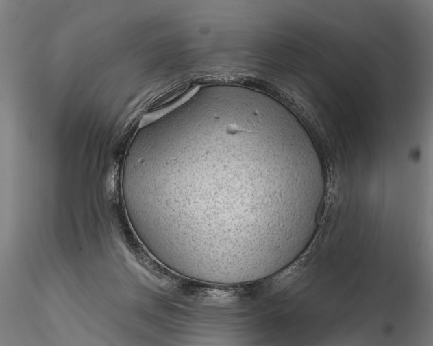 X0000115680166200912031427