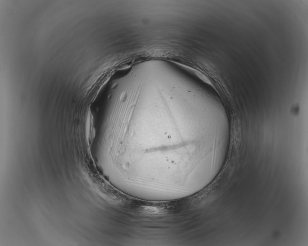 X0000115680167200912031427