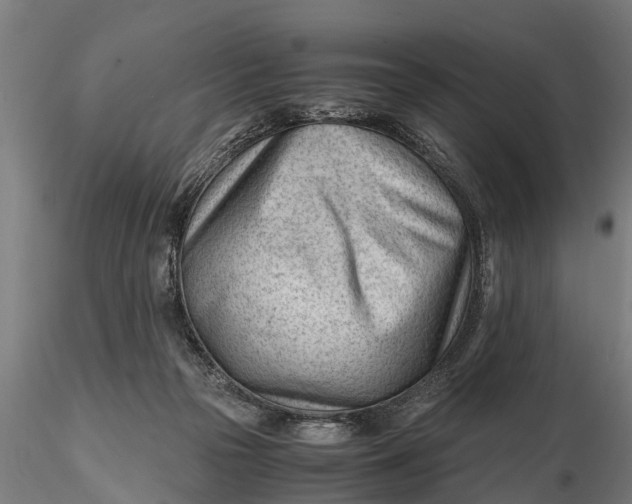 X0000115680169200912031427