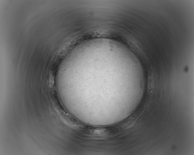 X0000115680173200912031427