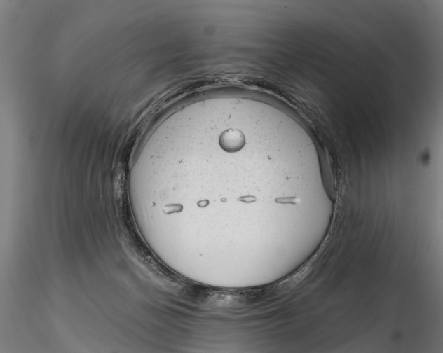 X0000115680174200912031428