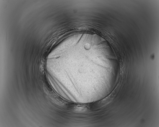 X0000115680175200912031428