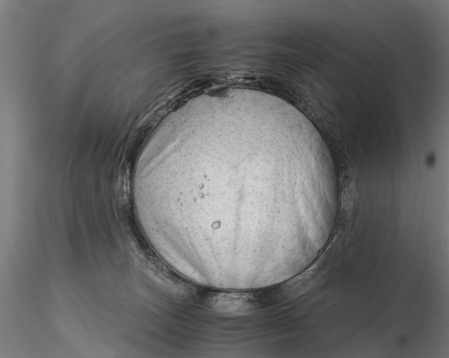 X0000115680179200912031428