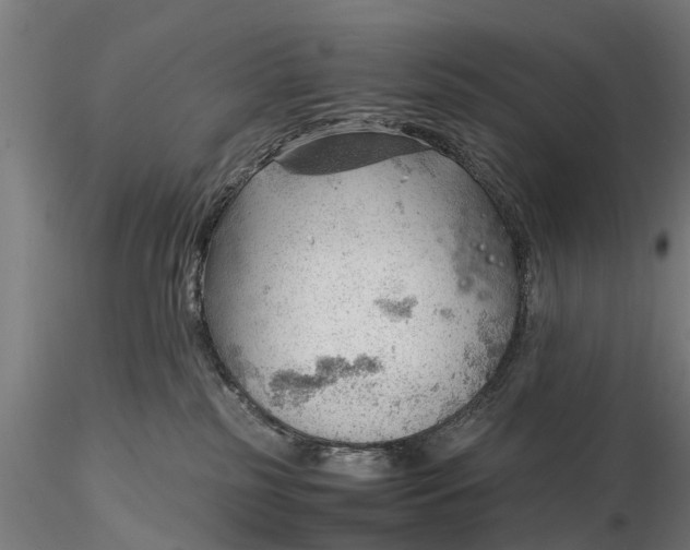 X0000115680185200912031428