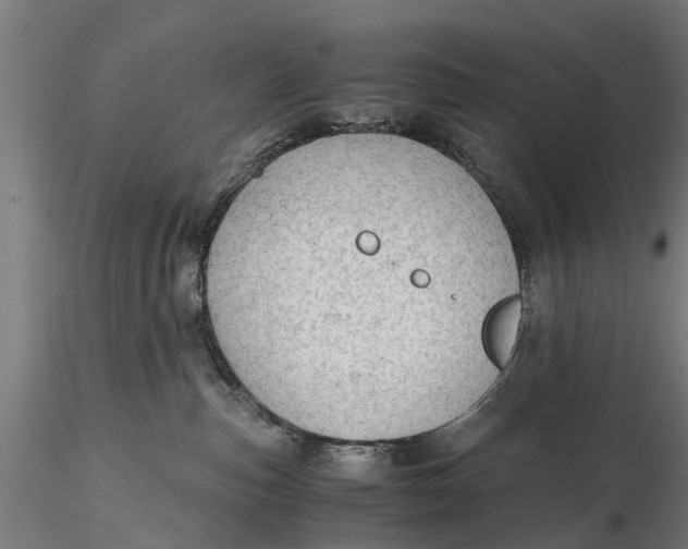 X0000115680187200912031428