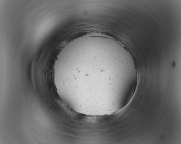 X0000115680190200912031428