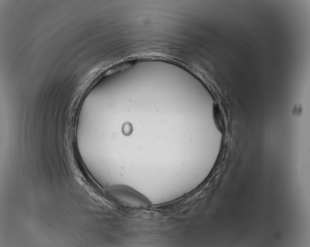 X0000115680193200912031427