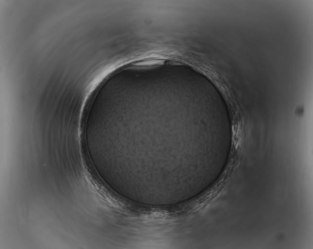 X0000115680196200912031427