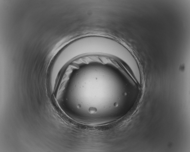 X0000115680199200912031427