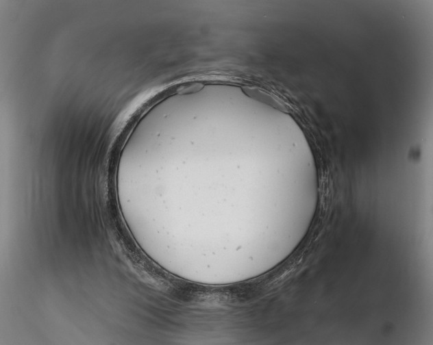 X0000115680200200912031427