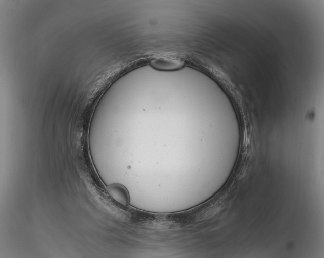 X0000115680201200912031427