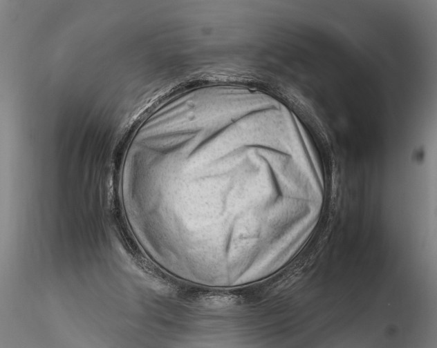 X0000115680202200912031427