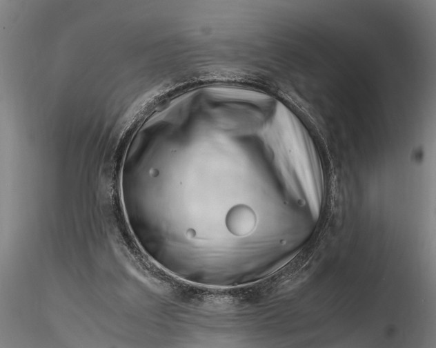 X0000115680203200912031427