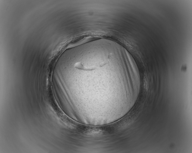 X0000115680206200912031427