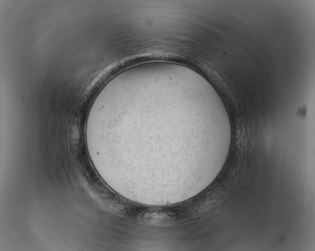 X0000115680208200912031427