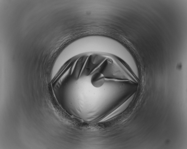 X0000115680209200912031427